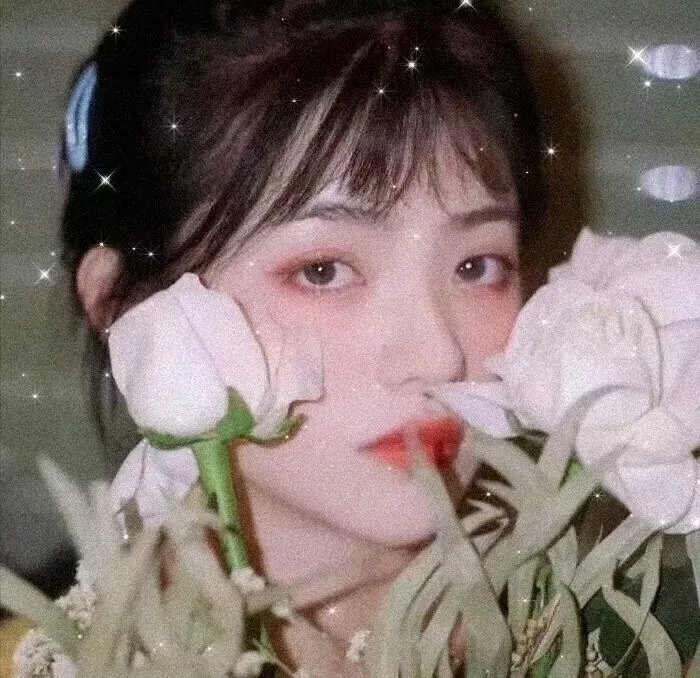 神捕十三娘封面
